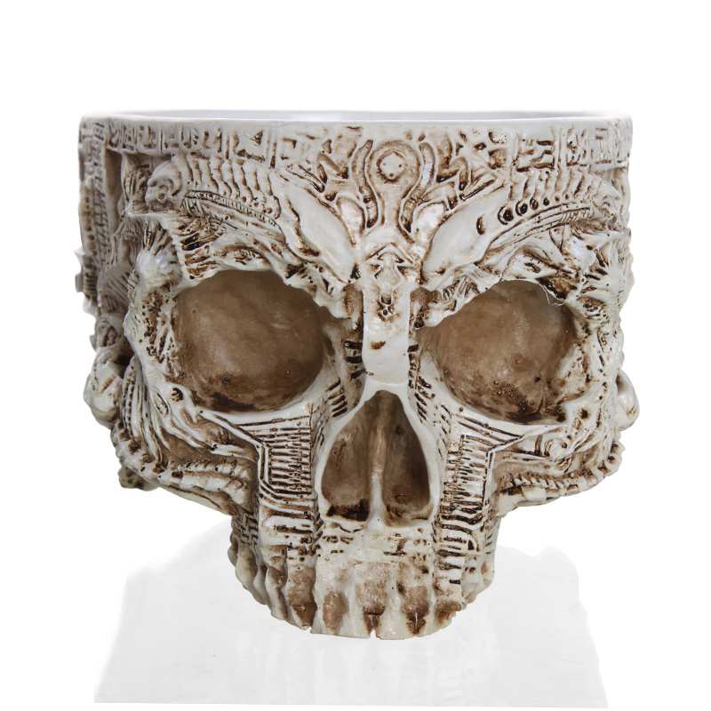 Ancient Skull Plant Pot